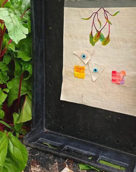 Les Mottes Brodées - Betterave 2