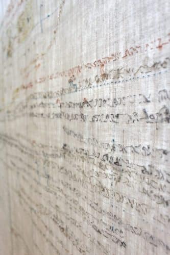 The Chronicle Of Dyeing For Desire (2025)