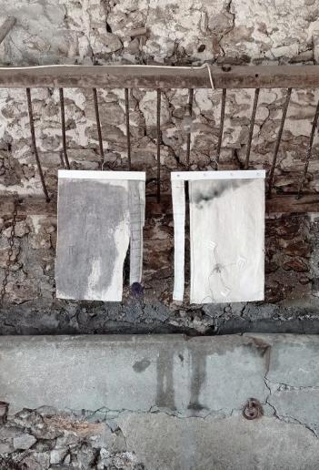 Polygonum Prototype & Szeder Prototype