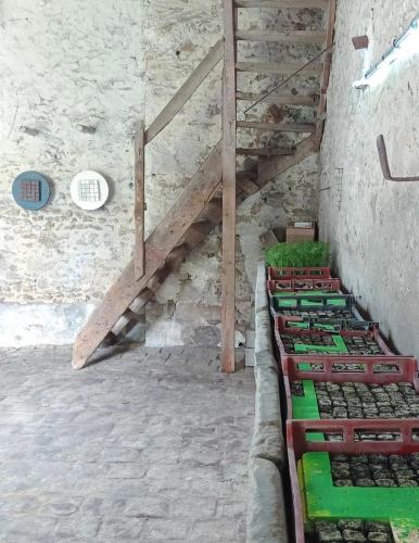 Motte - installation