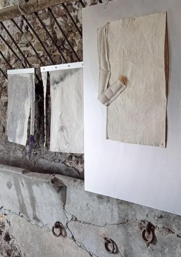 Polygonum, Szeder & Lemez  Prototype