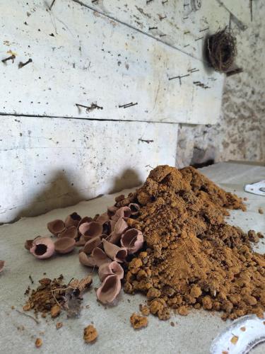 Installation 0/16 - part II.