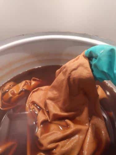 Natural dyeing with rumex