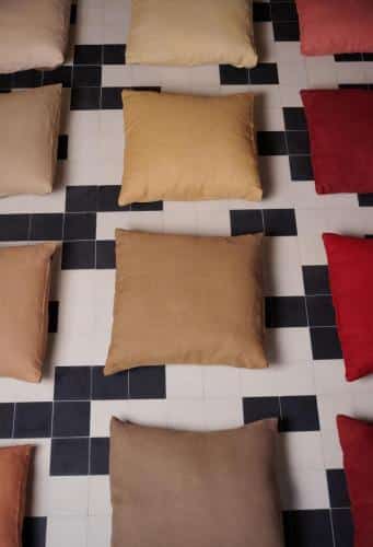 The Botanica cushions in the auberge of 91530 Le Marais